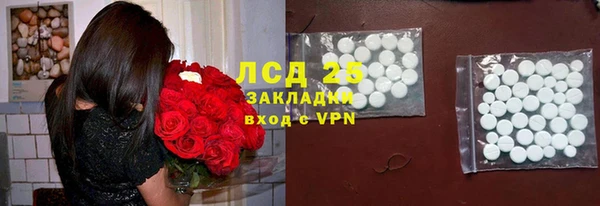 ГАЛЛЮЦИНОГЕННЫЕ ГРИБЫ Аркадак