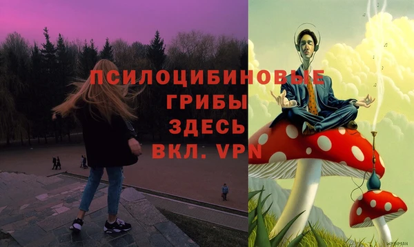 альфа пвп Армянск